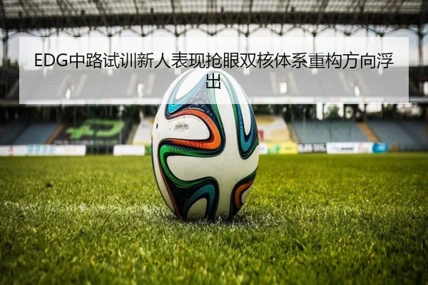 EDG中路试训新人表现抢眼双核体系重构方向浮出